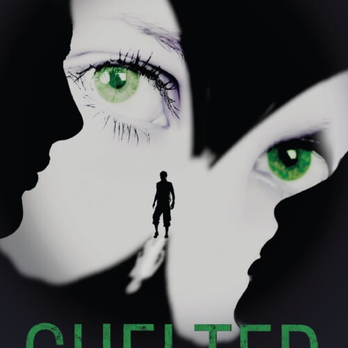 Shelter: a mickey bolitar novel