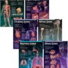 The nervous system