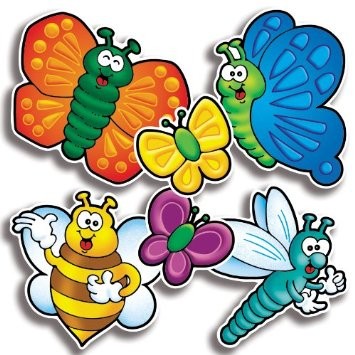 Bees, bugs and butterflies