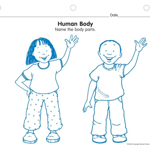 Human Body Practice Pad