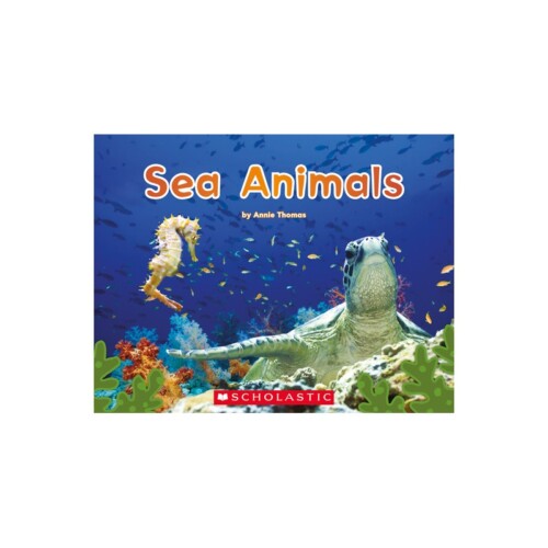 Sea Animals