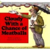 Cloudy with a Chance of Meatballs