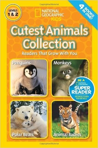 Cest Animals Collection