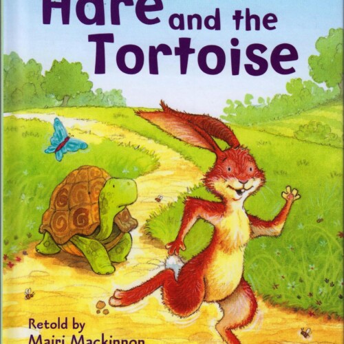 The Hare and the Tortoise