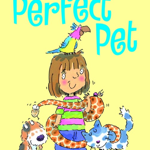 The Perfect Pet book 3 (usborne very first reading)