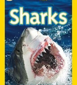 National Geographic Kids - Sharks (Level 3)