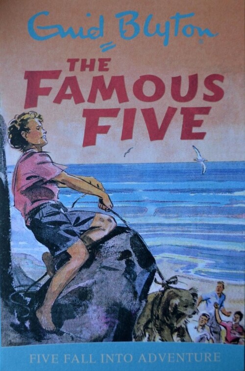 Five fall into adventure (FAmous five)