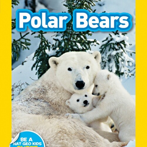 Polar Bears (National Geographic Kids LEVEL1)