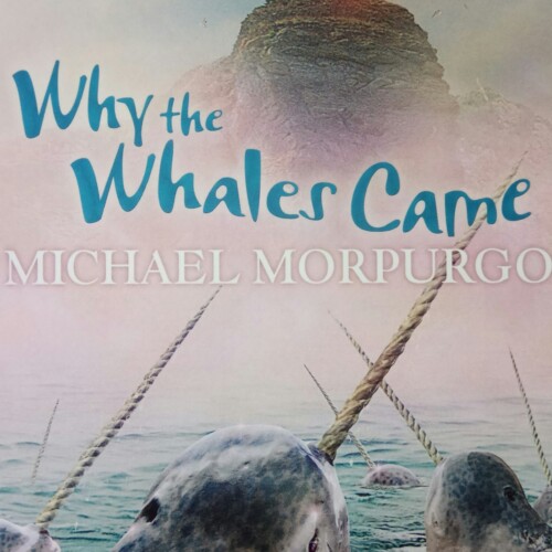 Why the Whales Came