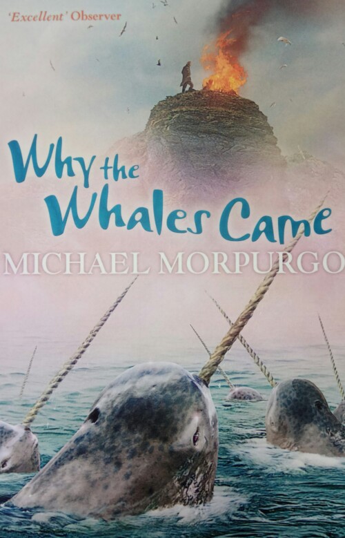 Why the Whales Came