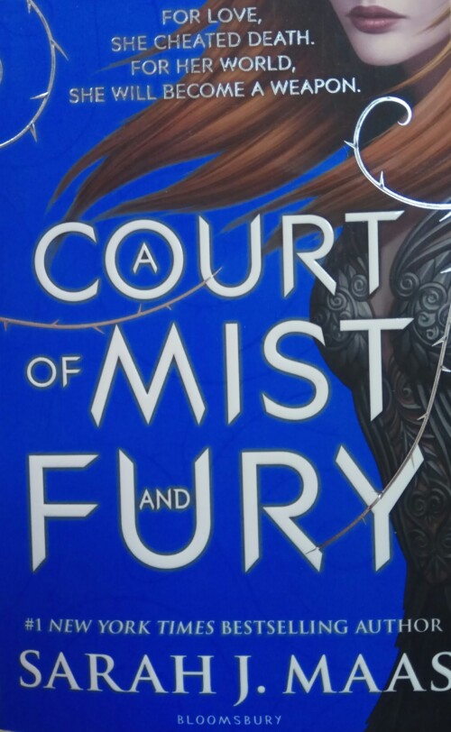 A Court of Misty and Fury
