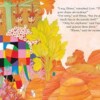 Elmer and the Rainbow