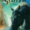 The Black Stallion