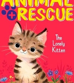 Animal Rescue - The Lonely Kitten