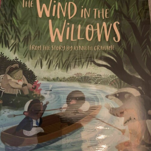 Usborne Story Books Level 2 - The Wind In The Willows