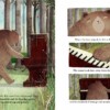 The Bear And The Piano