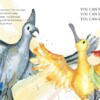 The Go-Away Bird