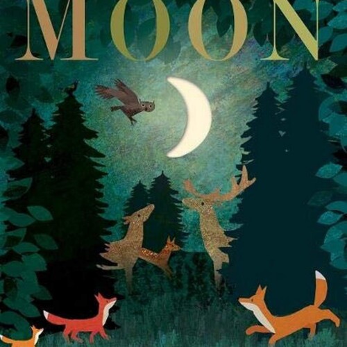 Moon: Night-time Around The World