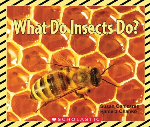 What Do Insects Do? Big Book