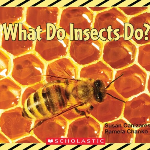 What Do Insects Do? Big Book