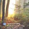 National Geographic Kids Readers: In the Forest
