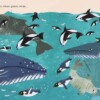 One Day on Our Blue Planet … In the Antarctic