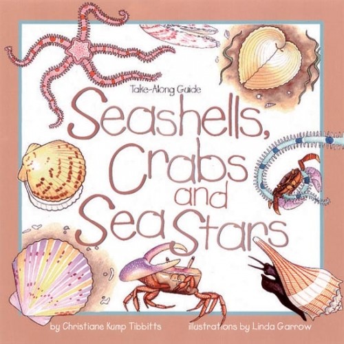 Seashells, Crabs and Seastars