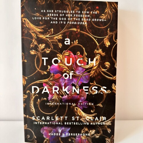 book a touch of darkness english wooks